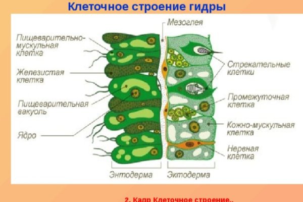 Рутор онион ссылка