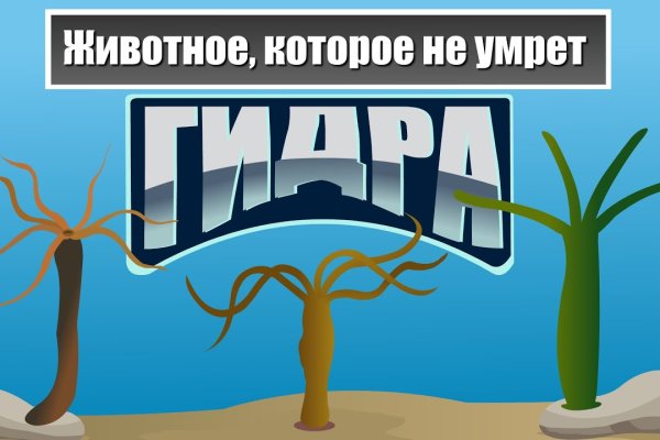 Как зайти на mega sb